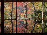 🍁 嵐山深處的秋日詩篇:夢幻祐斎亭遊記