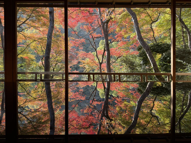 🍁 嵐山深處的秋日詩篇:夢幻祐斎亭遊記 🍁 嵐山深處的秋日詩篇:夢幻祐斎亭遊記