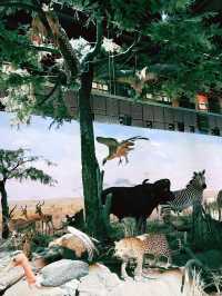 Shanghai Natural History Museum