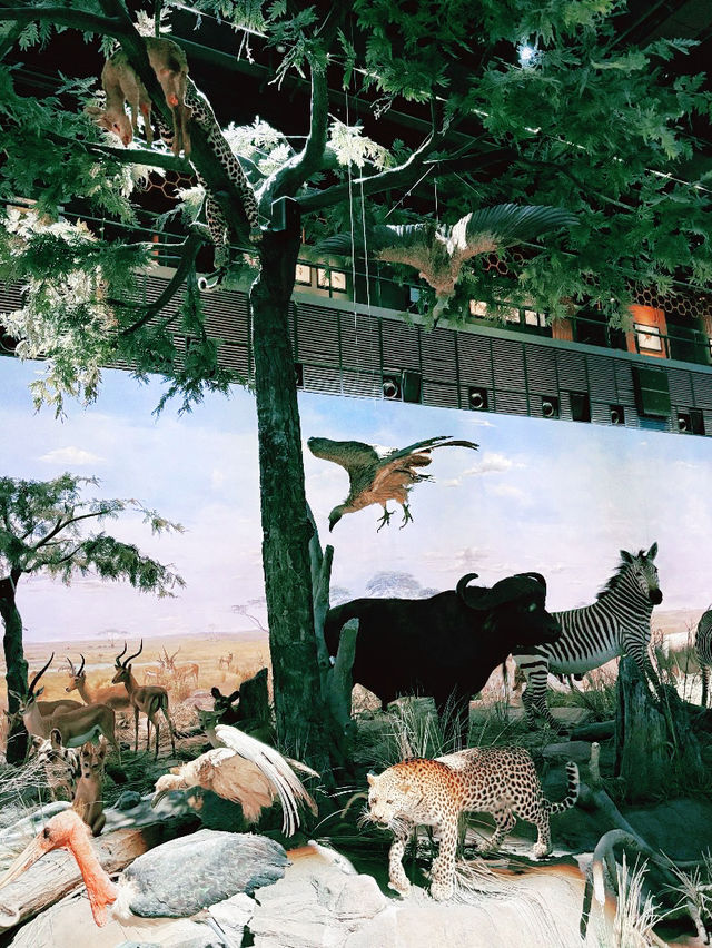 Shanghai Natural History Museum Shanghai Natural History Museum