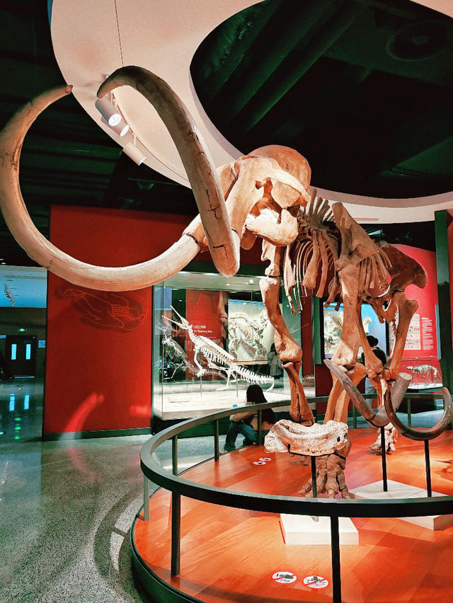 Shanghai Natural History Museum Shanghai Natural History Museum