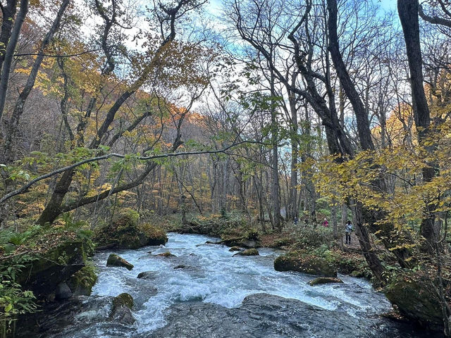 跟著松尾芭蕉的足跡～東北奧之細道賞楓
