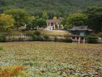 사계절 언제 가도 좋은 천년고도 경주