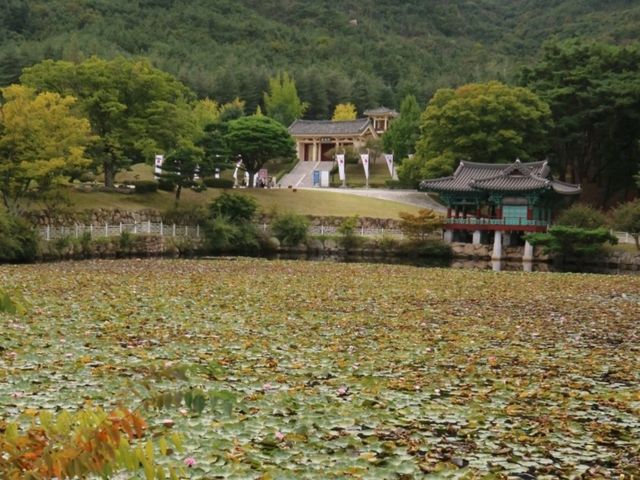 사계절 언제 가도 좋은 천년고도 경주 사계절 언제 가도 좋은 천년고도 경주