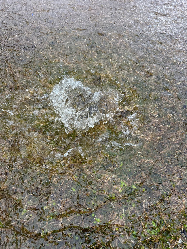 🏯❄️心も体も満たされる！最高の冬の熊本旅レポート！🥩♨️