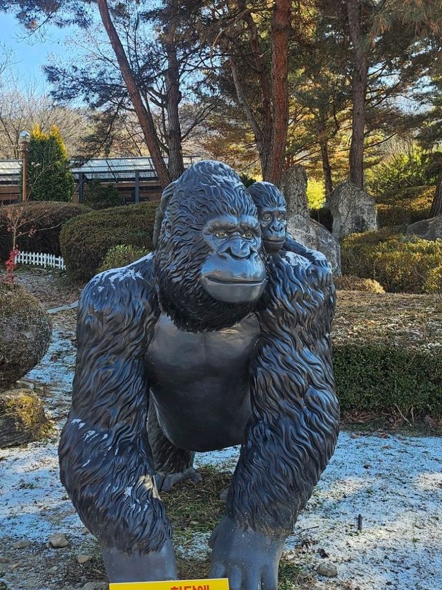 🐯동물들을 사랑하는 동물원 청주랜드동물원 다녀오기🦁 🐯동물들을 사랑하는 동물원 청주랜드동물원 다녀오기🦁