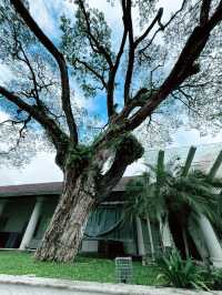 Old Courthouse Kuching – A Historical Landmark Must-Visit