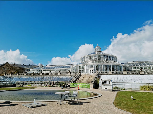 Glasshouse Calm & Nordic Bloom