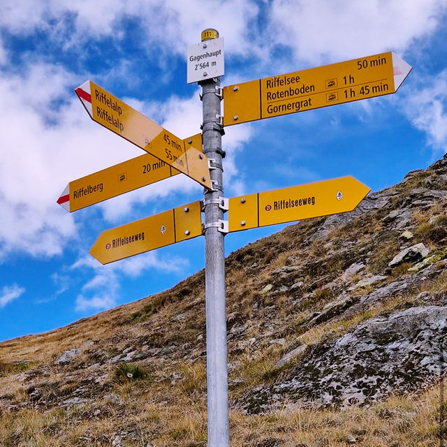 Scenic Train Adventure: Gornergrat Express 🚞🌄