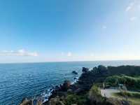 🎄 Festive Stroll & Scenic Escape at Maobitou Park