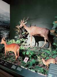 Borneo Cultures Museum: Discover Highland Life and Treasures