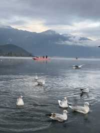 瀘沽湖晨霧|霧裡的湖光與水性楊花