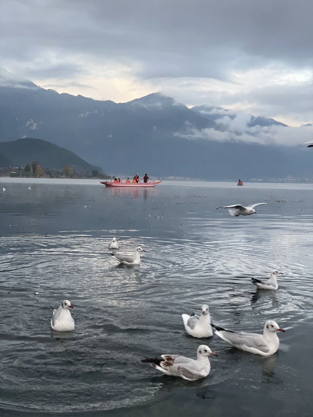 瀘沽湖晨霧|霧裡的湖光與水性楊花 瀘沽湖晨霧|霧裡的湖光與水性楊花