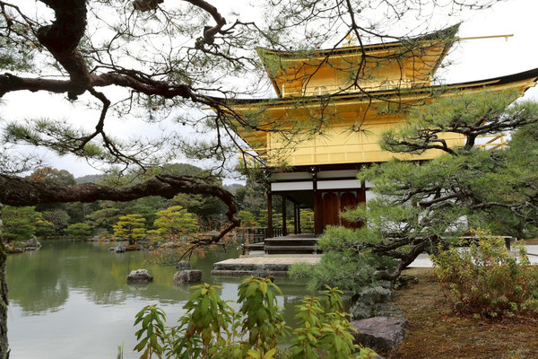 曇り空の金閣寺も魅力的 | Trip.com 京都