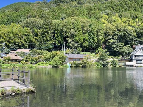 由布院で最も幻想的な湖畔散歩・金鱗湖。 | Trip.com 由布