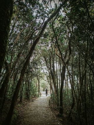 말레이시아에서 가장 오래된 지질학적 보물 중 하나가 제라이 지질공원에 숨겨져 있습니다.