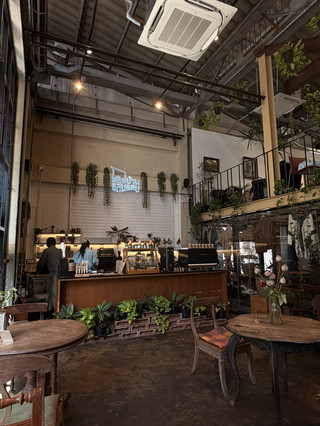 Cutest Cat Café Hangout for Digital Nomads 🐾☕️