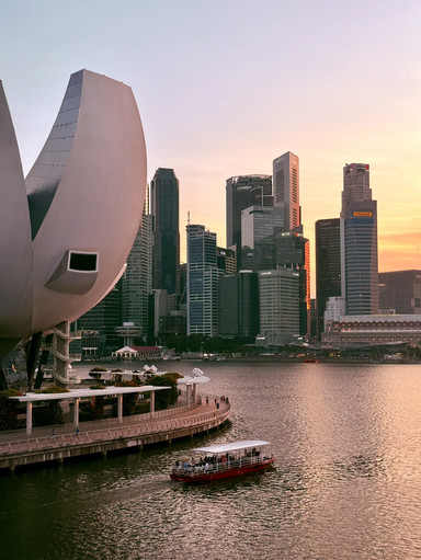 🇸🇬 シンガポールのアートサイエンスミュージアムとヘリックス