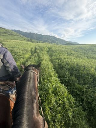 🇰🇿🇰🇬 アルマトイ → キルギスタン アドベンチャー (2026年5月30日~6月5日)

1日目

🏜️ チャリン渓谷
🏞️ ブラックキャニオン
💙 コルサイ湖
🌙 宿泊:サティ村

2日目

🌲 カインディ湖
🚶 カザフスタンからキルギスタンへの国境越え
⛪ ロシア正教会
🌙 宿泊:カラコル

3日目

🏔️ アルティン・アラシャン渓谷
♨️ 天然温泉
🏕️ 山中のユルト宿泊

4日目

🐂 ジェティ・オグズ(七頭の雄牛)
❤️ 壊れたハート岩
🌿 コク・ジャイク渓谷
🐎 乗馬と滝

5日目

🦅 鷲狩りショー
🏹 伝統的な弓道
🏜️ コク・モイノク渓谷
🌲 チョン・ケミン国立公園

6日目

🗼 ブラナタワー
🏙️ ビシュケク市内観光
🕌 中央モスク
🌳 アラトー広場

7日目

🚗 カザフスタンへ帰国
🏛️ 共和国広場
⛪ ゼンコフ大聖堂
🌳 パンフィロフ公園
✈️ バンコクへ帰国

🏨 宿泊地:
サティ • カラコル • アルティン・アラシャン • ボコンバエヴォ • チョン・ケミン • ビシュケク

🍽️ ぜひ試してほしい料理:
ボルシチ • シャシリク • ラグマン • プロフ • ハニーケーキ(メドヴィク)

💡 ハイライト:
カインディ湖 • コルサイ湖 • アルティンアラシャン、セブンブルズ、チョンケミン

#カザフスタン #キルギス #アルマトイ #カラコル #カインディレイク #コルサイラケ #アルティナラシャン #ジェティオグズ #セントラシア #一人旅 #自然愛好家 #旅行日記