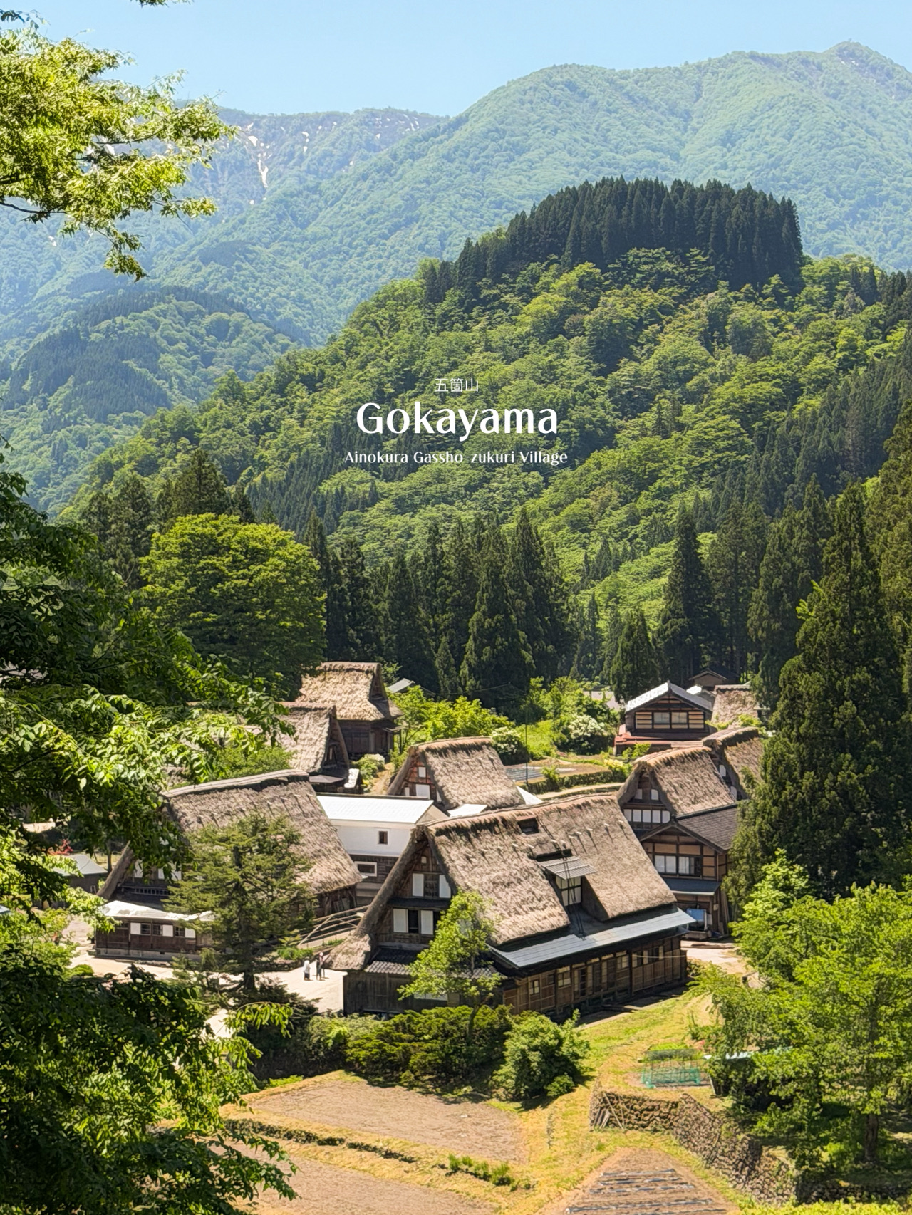 หมู่บ้านมรดกโลกกลางหุบเขา ที่วิวสวย และมีเสน่ห์ทุกฤดู ⛰️🏡🍃🇯🇵