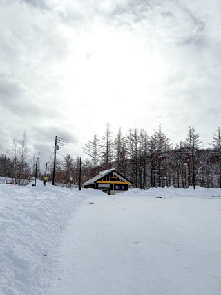 ❄️🩵 겨울의 청의 호수… 온 세상이 하얗게 변할 때