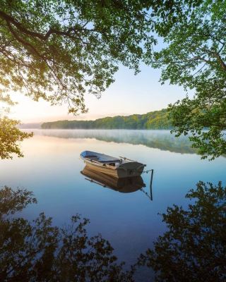 🇩🇰 A Peaceful Morning by a Danish Lake