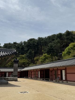 Suwon Day Trip: A 1-Day Getaway to South Korea's Charming Fortress City 🏰🌸