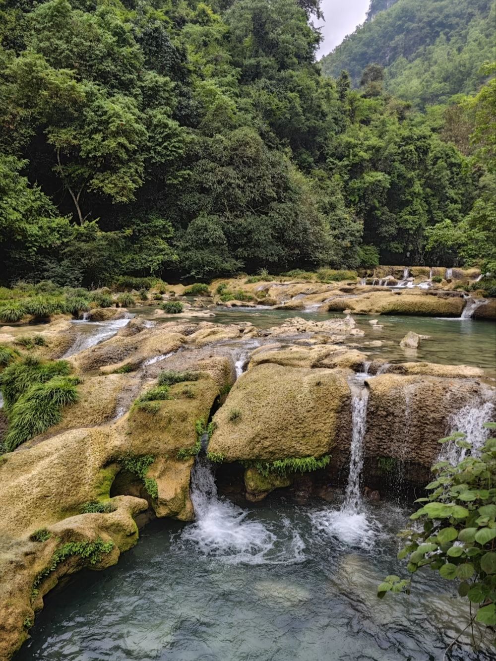 為什麼我一再回到荔波