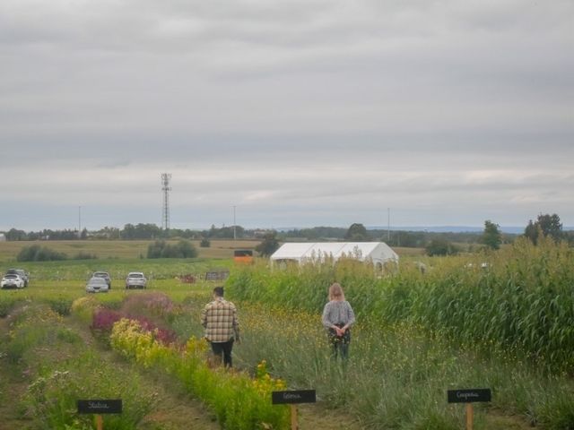 🇨🇦토론토 팜마켓 및 해바라기 꽃밭 탐방하기 - Robintide Farms!🌻