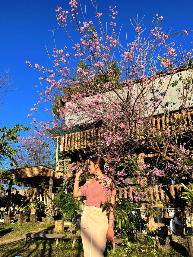 📍BA RUNG 𝐇𝐨𝐦𝐞𝐬𝐭𝐚𝐲 @𝐂𝐡𝐢𝐚𝐧𝐠 𝐦𝐚𝐢