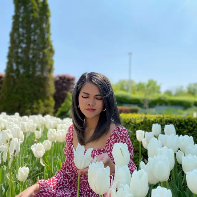 โตรอนโต เอ็ดเวิร์ดส์ การ์เดนส์