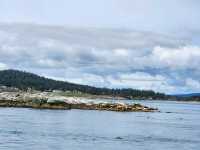 Fishermans Wharf in Dowtown Victoria BC Canada good for food and whale watching