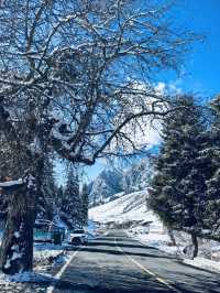 南山雪落時，我離開新疆