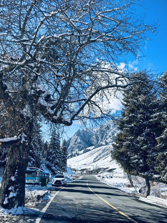 南山雪落時，我離開新疆