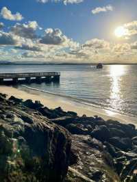 Tropical Dreamscape🌴