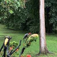 Fantastic one night stay in the rainforest 