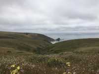 Coastal Charm at Point Reyes