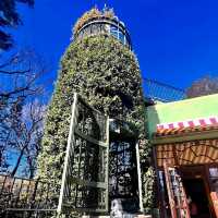 🌸三鷹之森吉卜力美術館🌸宮崎駿動畫工作室為主題