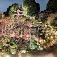 🌸東京椿山莊酒店🌸酒店庭院堪稱絕景