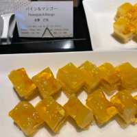 ♨️稲取銀水莊♨️伊豆老字號的溫泉酒店