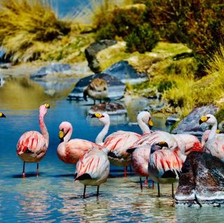 Bolivia: The Shining Pearl of the Andes