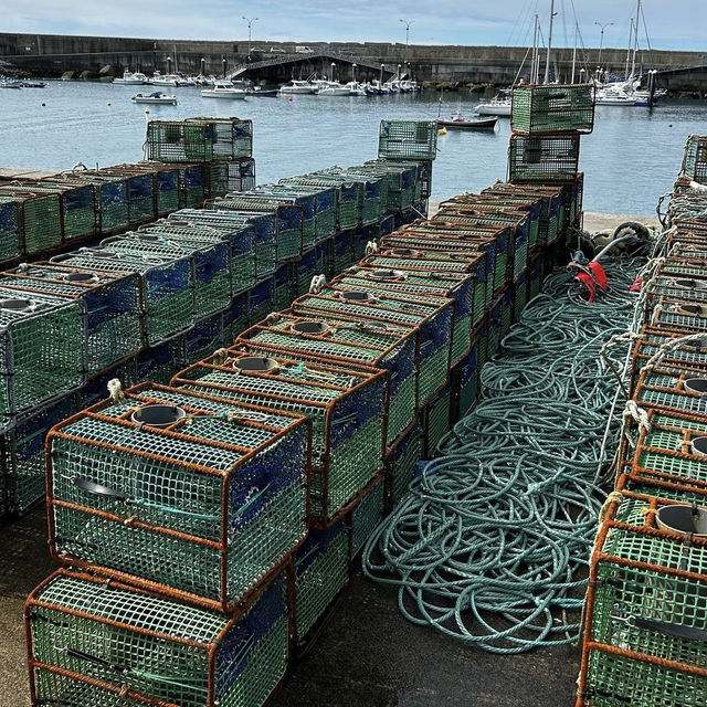 Fishing of the coast of Spain 🇪🇸