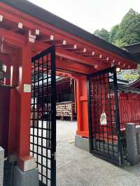 【東京箱根遊！蘆之湖與箱根神社參拜！適合自然環境的你！】