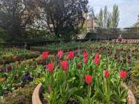 London - Fukushima Garden 🌹🌺