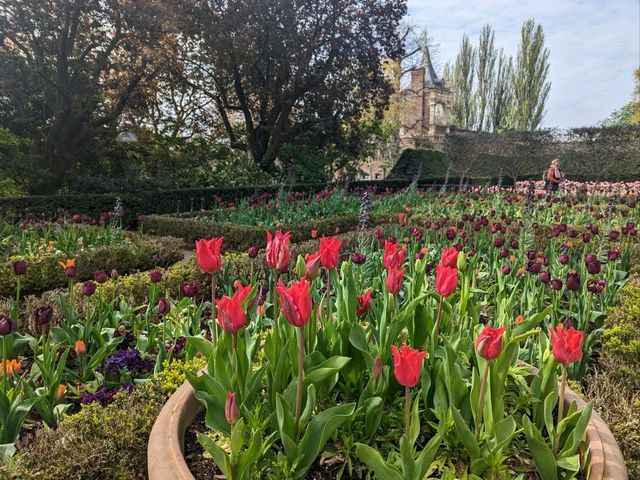 London - Fukushima Garden 🌹🌺