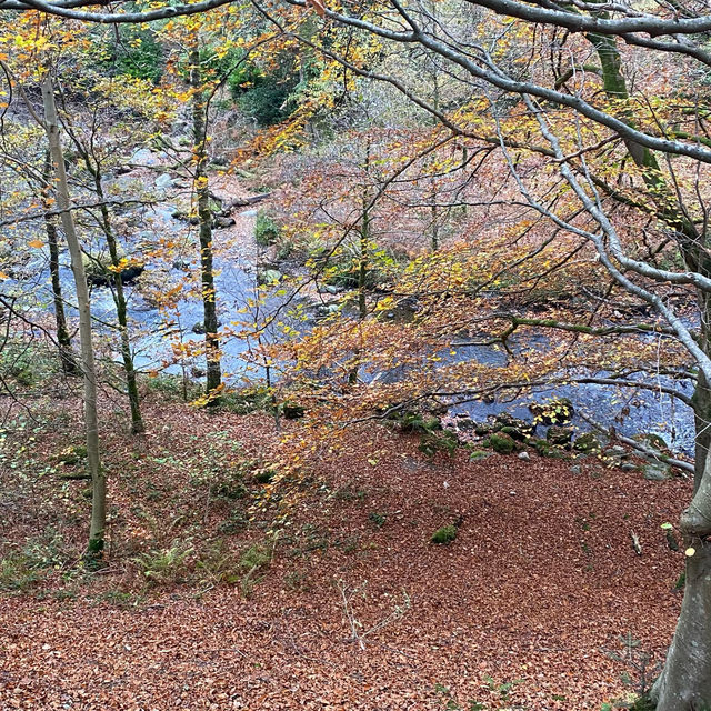 Nature’s Autumn Canvas: Motor Trip to Aira Force Waterfall