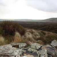 Misty moors 