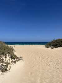 Paradise in Corralejo Fuerteventura 🇪🇸