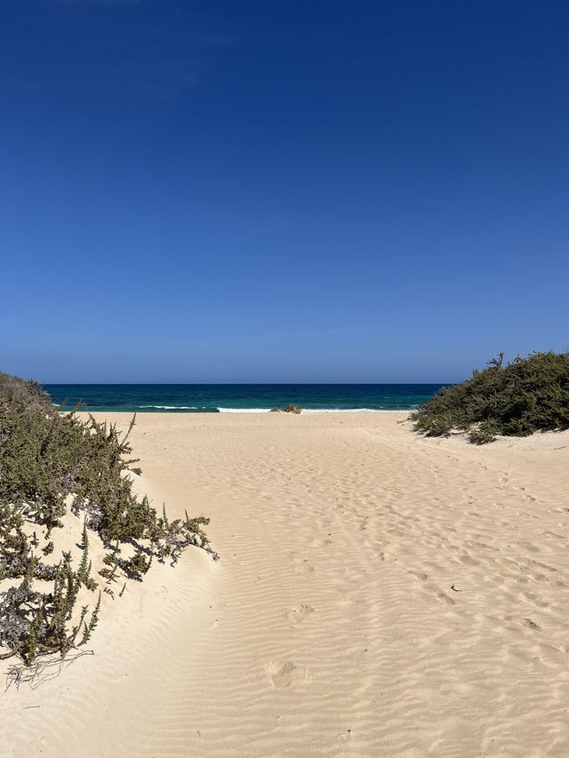 Paradise in Corralejo Fuerteventura 🇪🇸