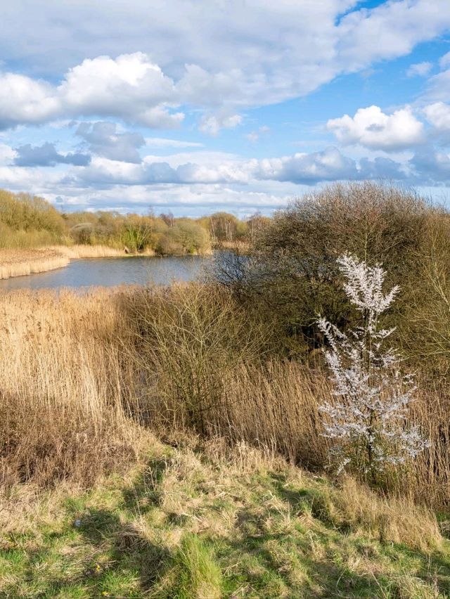 Discover Wigan: A Hidden Gem of History, Culture, and Adventure in Greater Manchester! 🌟